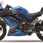ninja 300 motorcycle diaries